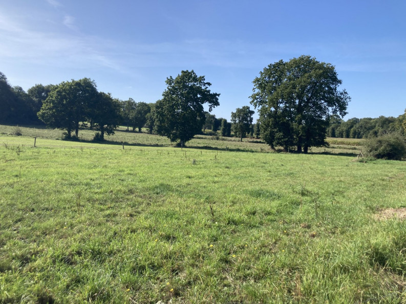 vente Maison Saint Pierre De Plesguen - Photo 4