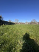 vente Terrain Saint Amand Les Eaux