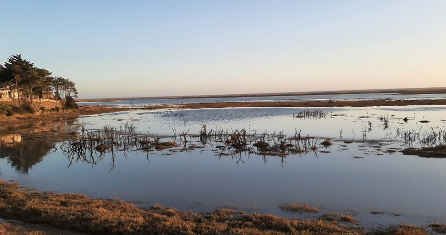 vente Maison La Tranche Sur Mer