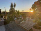 vente Maison Paulnay