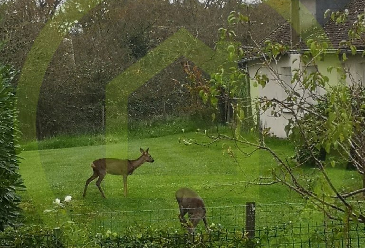vente Maison de caractère Linge - Photo 7