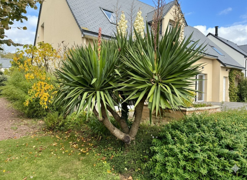 vente Maison Saint Jean Le Thomas - Photo 2