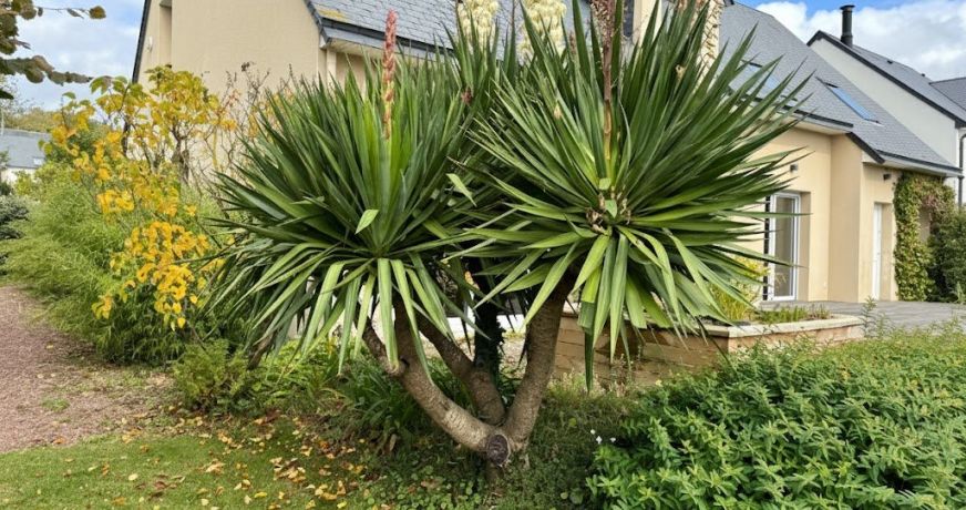 vente Maison Saint Jean Le Thomas