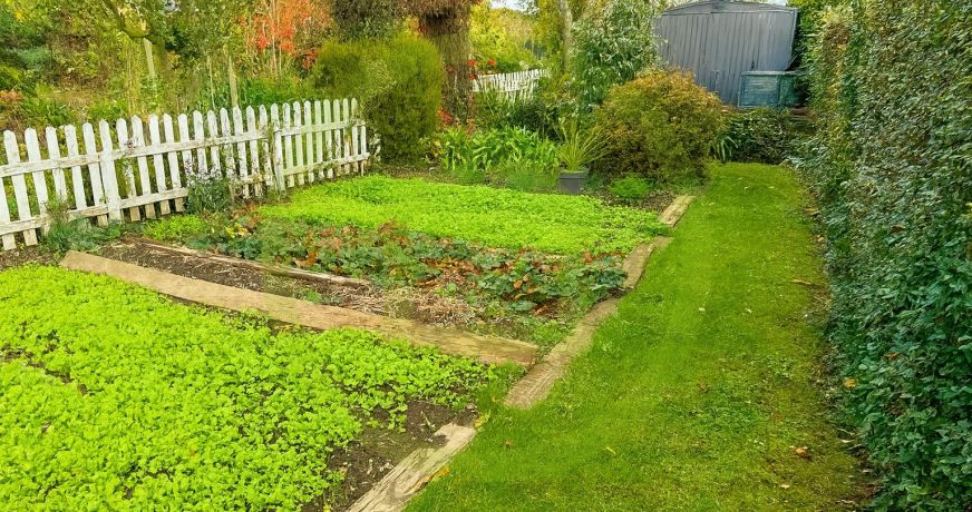 vente Maison Saint Jean Le Thomas