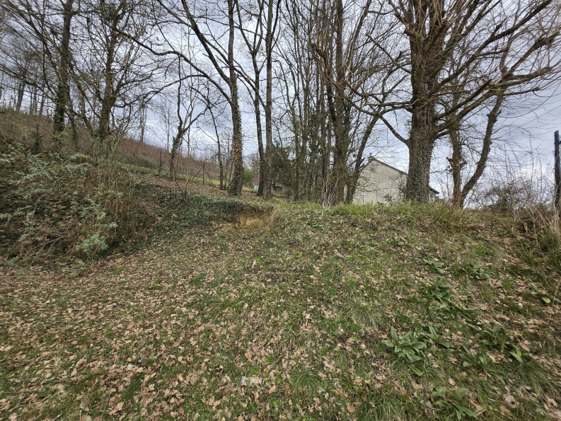 vente Terrain constructible Seigy - Photo 6