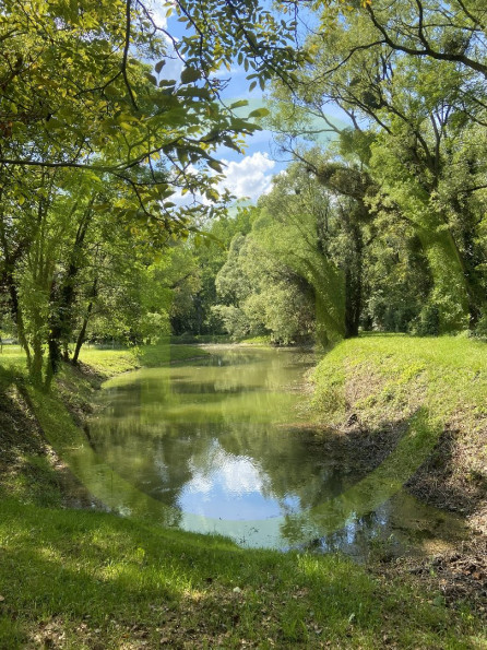 vente Terrain de loisir Charnizay - Photo 7