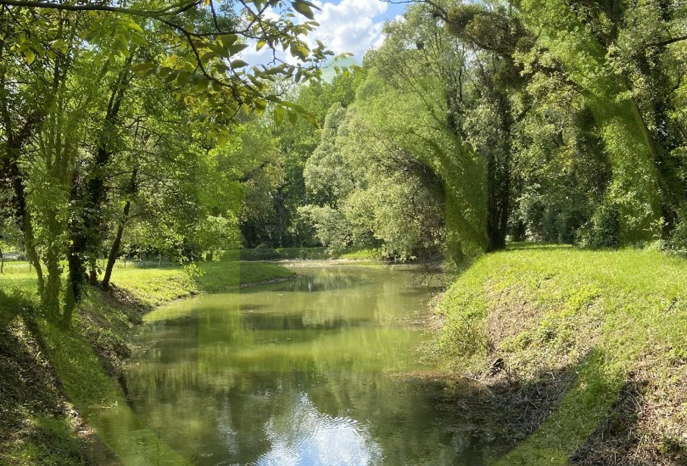 vente Terrain de loisir Charnizay - Photo 7