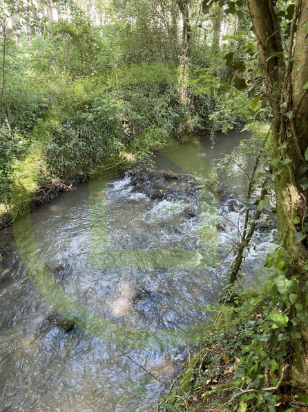 vente Terrain de loisir Charnizay - Photo 8