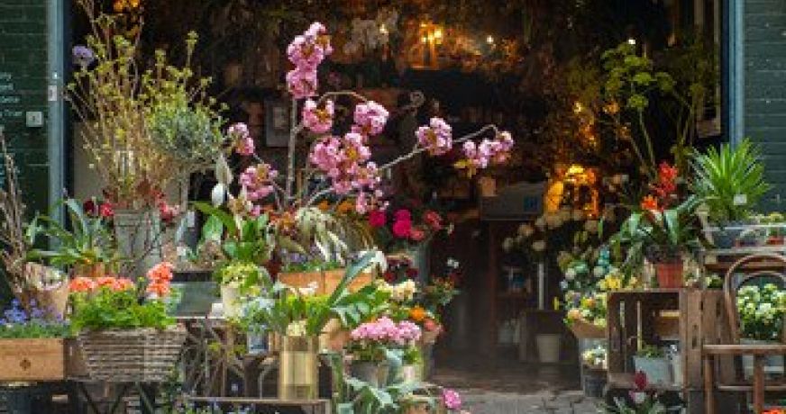 vente Fleuriste Paris 17eme Arrondissement