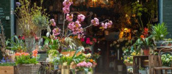 vente Fleuriste Paris 17eme Arrondissement