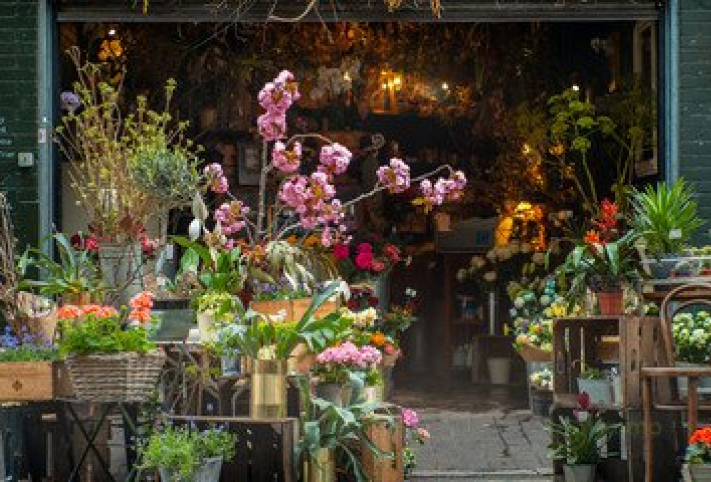 vente Fleuriste Paris 17eme Arrondissement - Photo 4