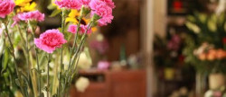 vente Fleuriste Paris 17eme Arrondissement