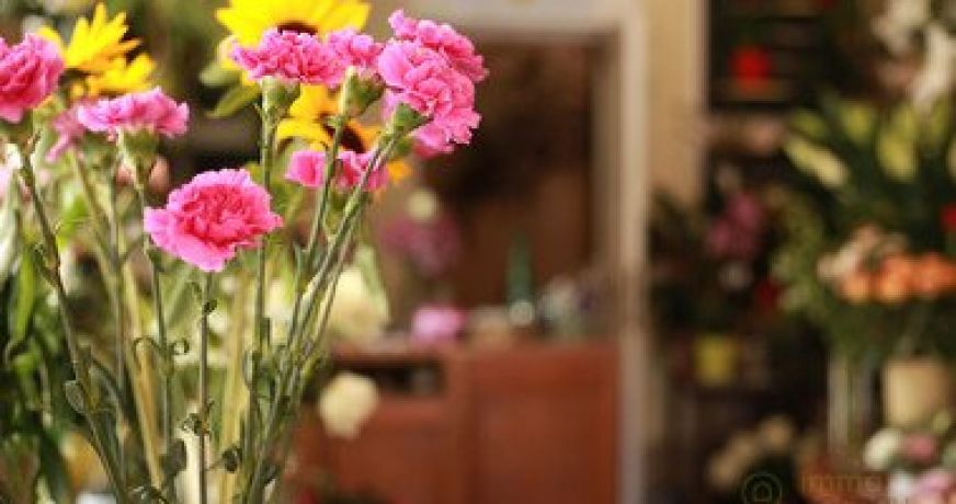 vente Fleuriste Paris 17eme Arrondissement