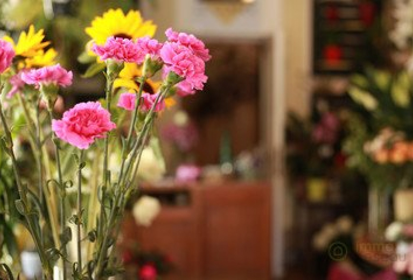 vente Fleuriste Paris 17eme Arrondissement - Photo 7