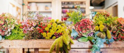 vente Fleuriste Paris 17eme Arrondissement