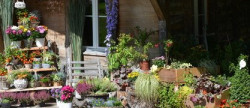 vente Fleuriste Paris 17eme Arrondissement