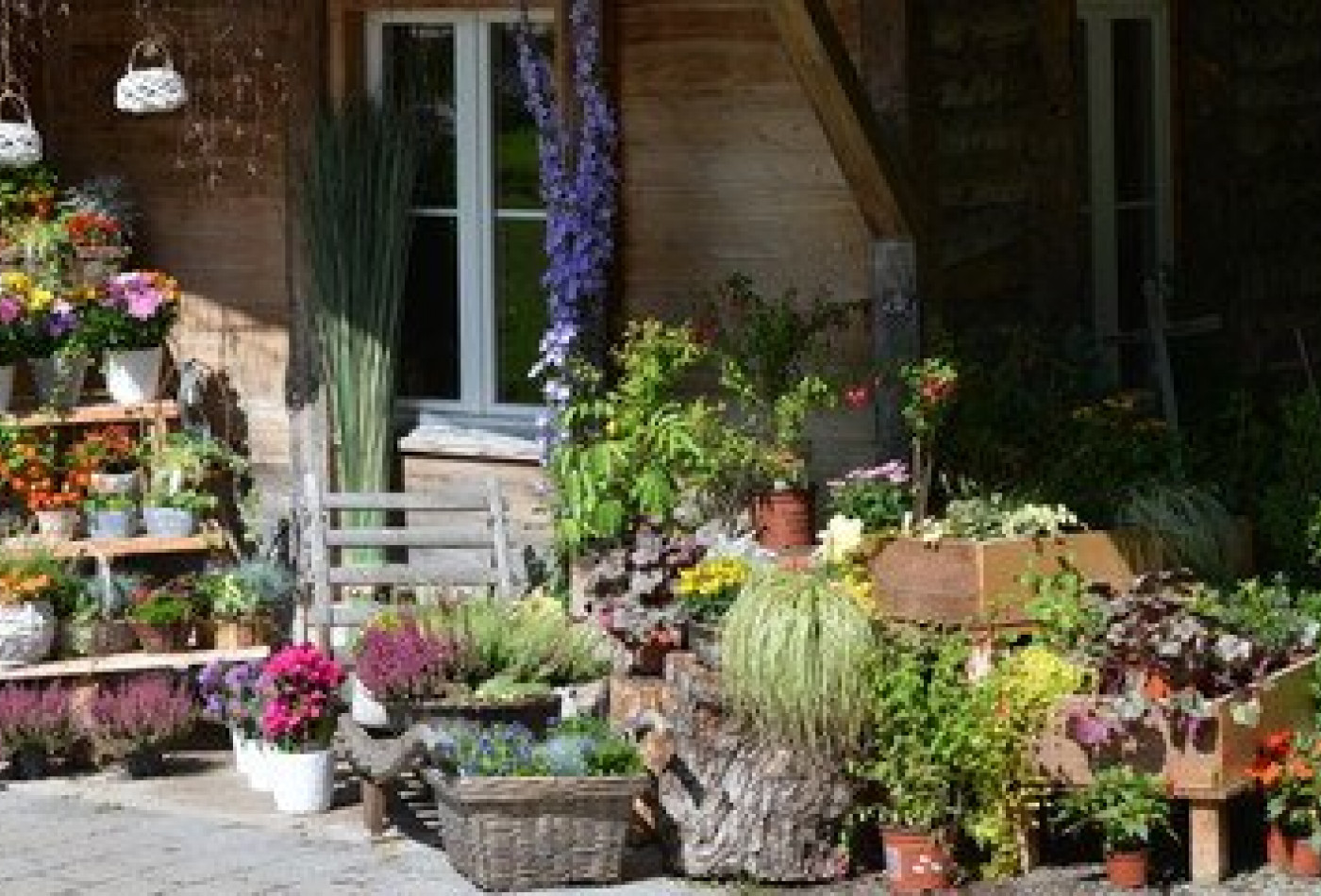 vente Fleuriste Paris 17eme Arrondissement - Photo 9