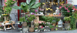vente Fleuriste Paris 17eme Arrondissement