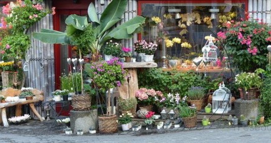 vente Fleuriste Paris 17eme Arrondissement