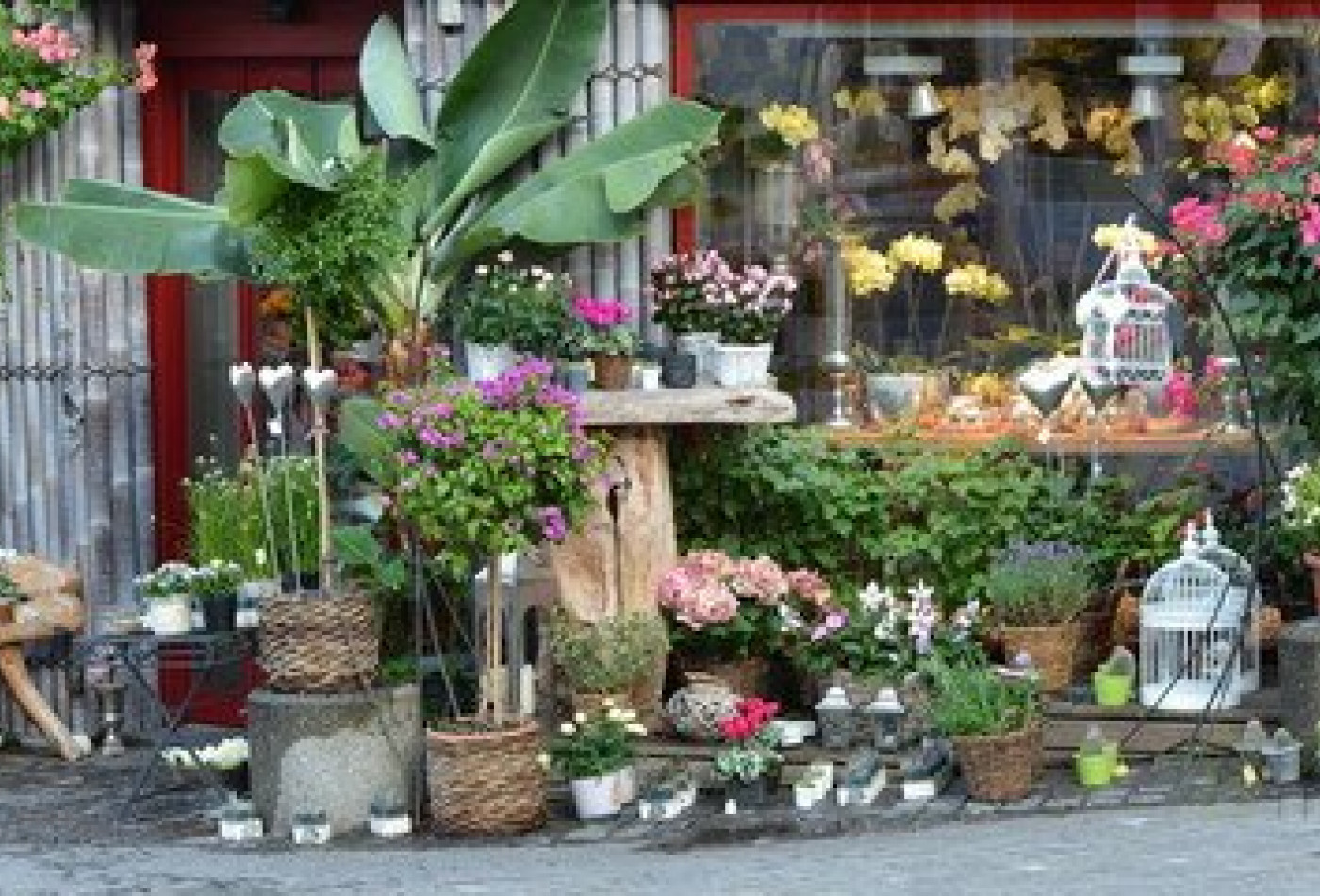 vente Fleuriste Paris 17eme Arrondissement - Photo 10