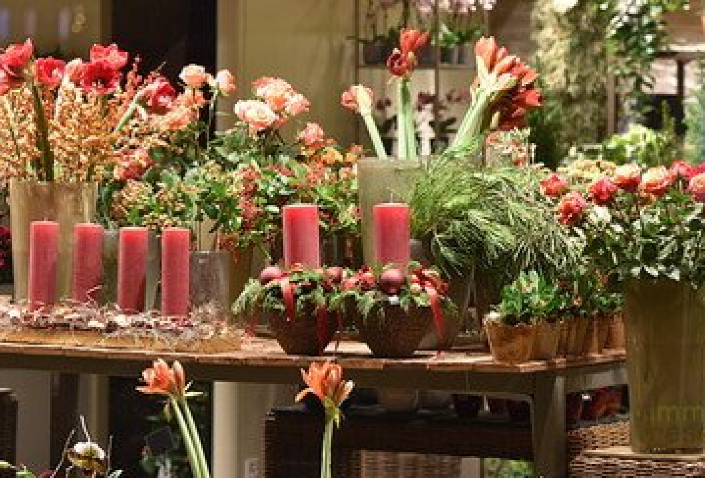 vente Fleuriste Paris 17eme Arrondissement - Photo 3