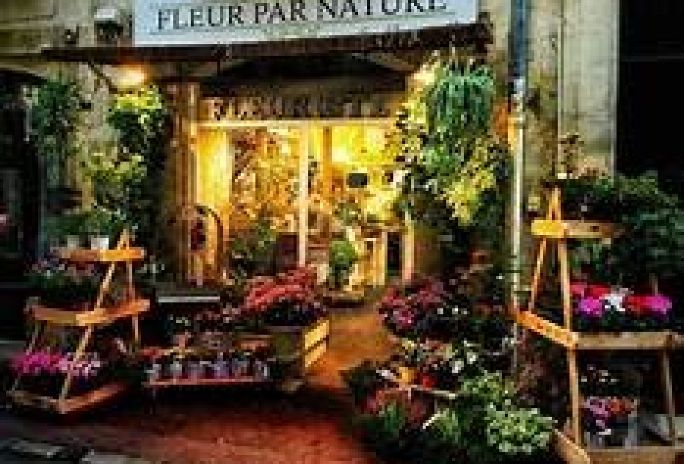 vente Fleuriste Paris 17eme Arrondissement - Photo 6