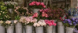 vente Fleuriste Paris 17eme Arrondissement