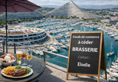 vente Restaurant Villeneuve Loubet