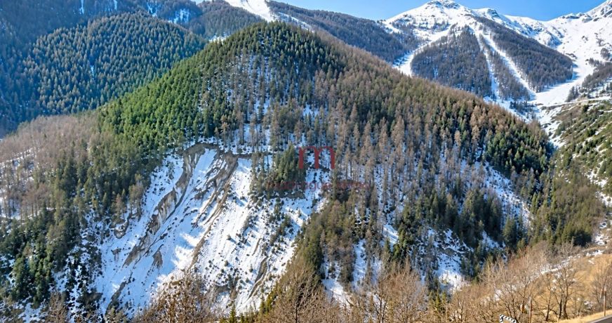 vente Appartement Auron
