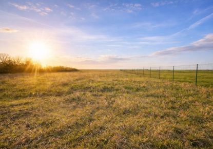 vente Terrain Amponville