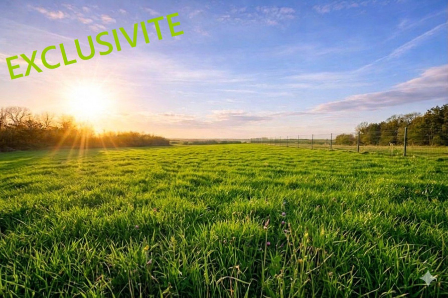 vente Terrain Amponville - Photo 1