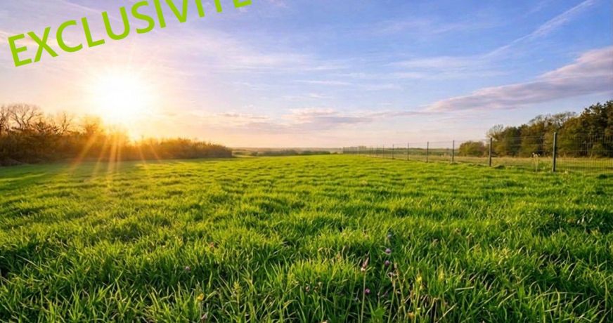 vente Terrain Amponville
