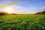 vente Terrain Amponville
