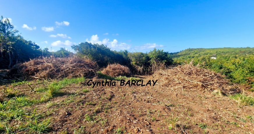 vente Terrain constructible Le Marin