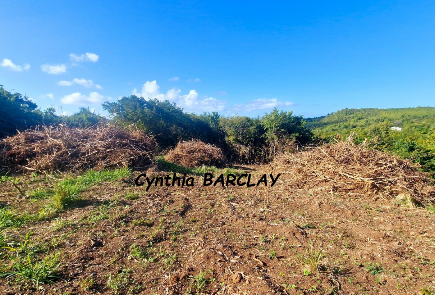 vente Terrain constructible Le Marin - Photo 5