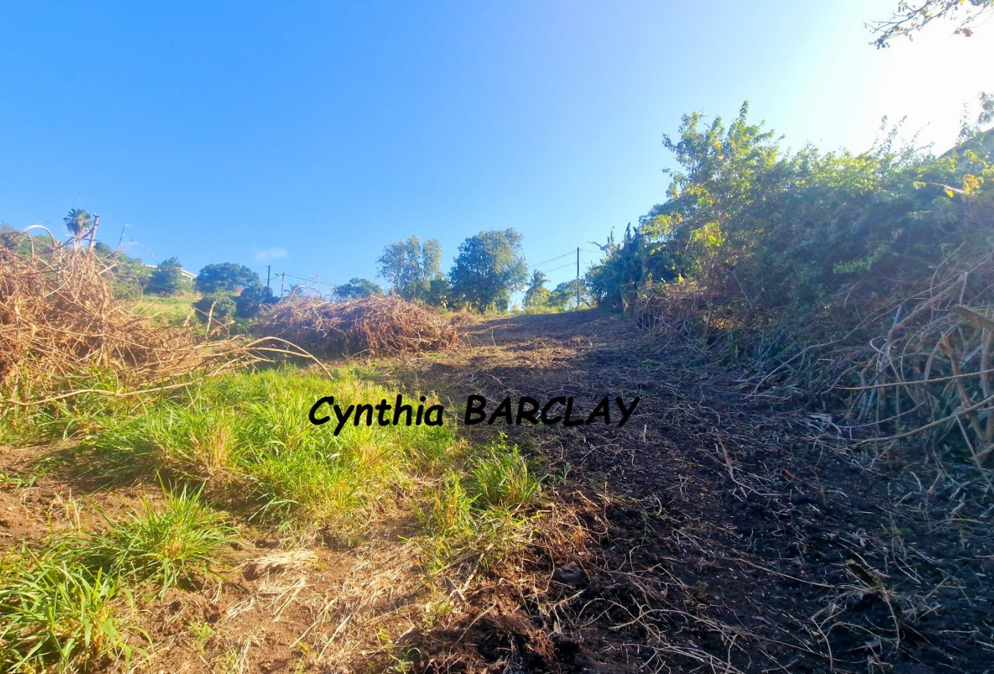 vente Terrain constructible Le Marin - Photo 6