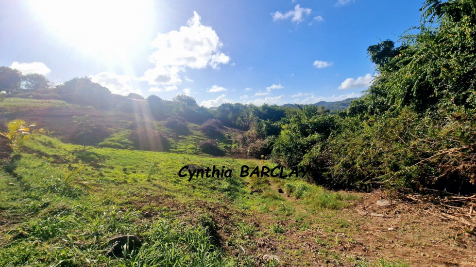 vente Terrain constructible Le Marin - Photo 3