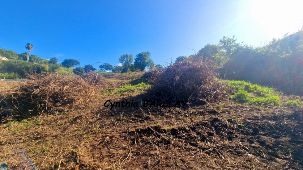 vente Terrain constructible Le Marin - Photo 4