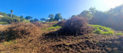 vente Terrain constructible Le Marin