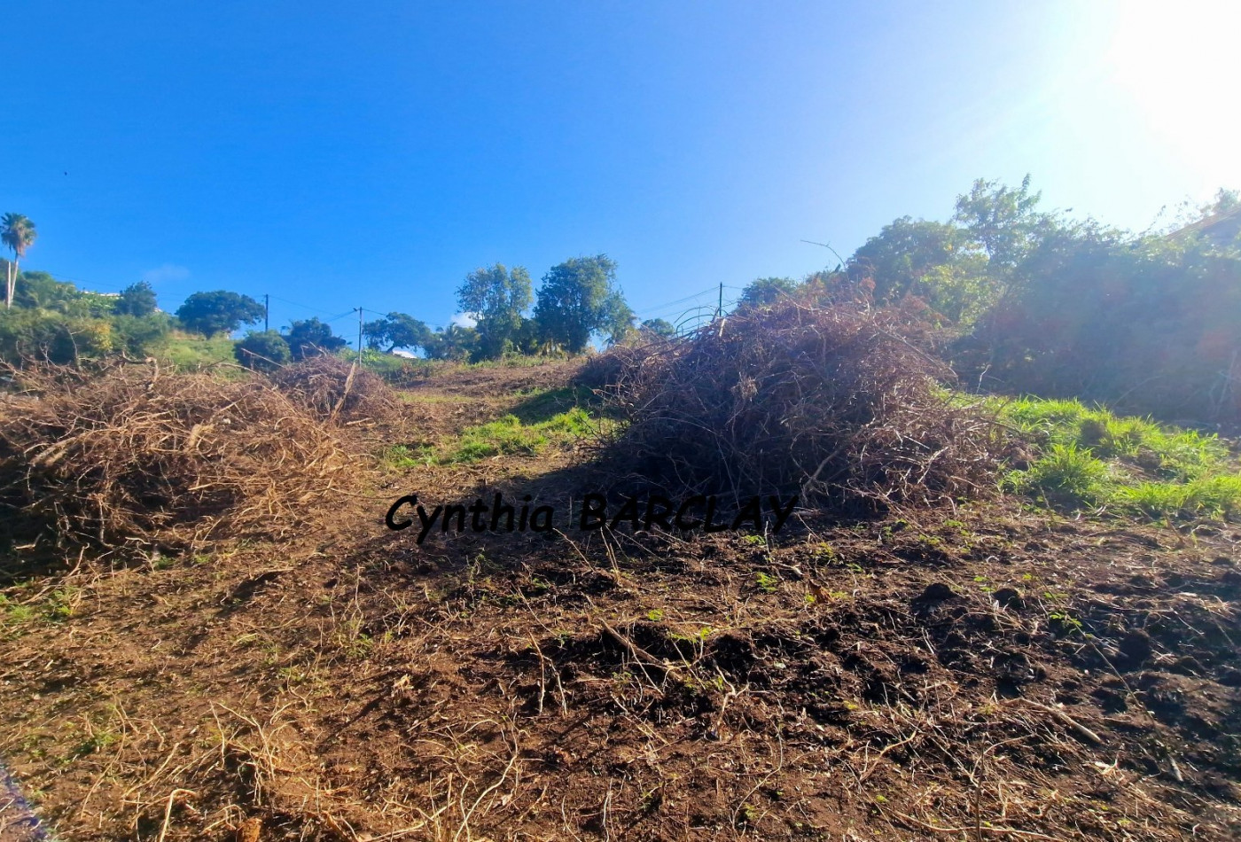 vente Terrain constructible Le Marin - Photo 4
