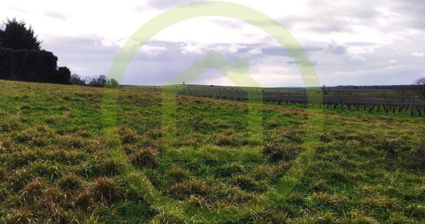 vente Terrain Saint Maigrin