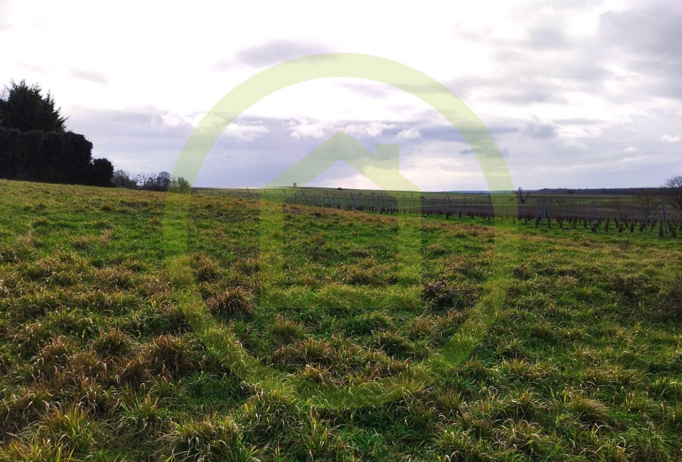 vente Terrain Saint Maigrin - Photo 4