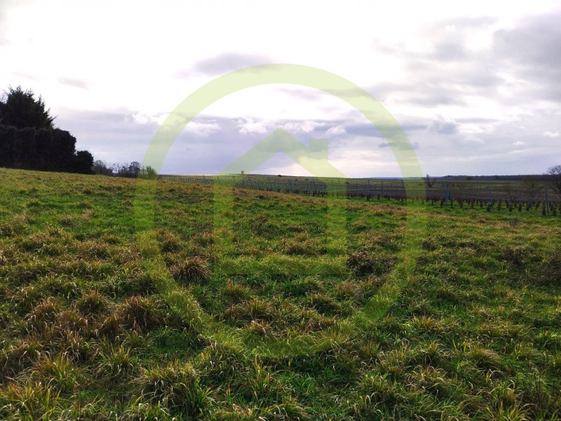 vente Terrain Saint Maigrin - Photo 4