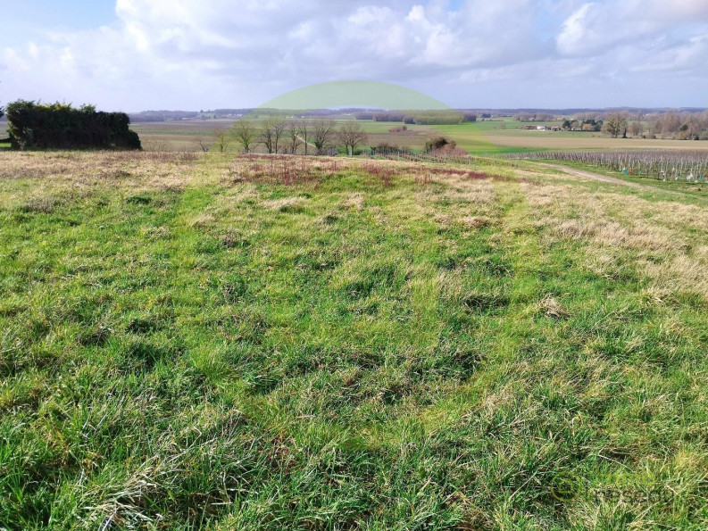 vente Terrain Saint Maigrin - Photo 1
