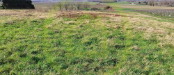vente Terrain Saint Maigrin