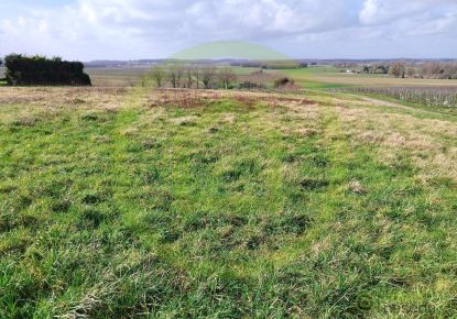 vente Terrain Saint Maigrin