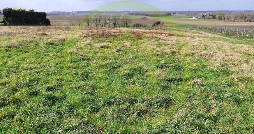 vente Terrain Saint Maigrin
