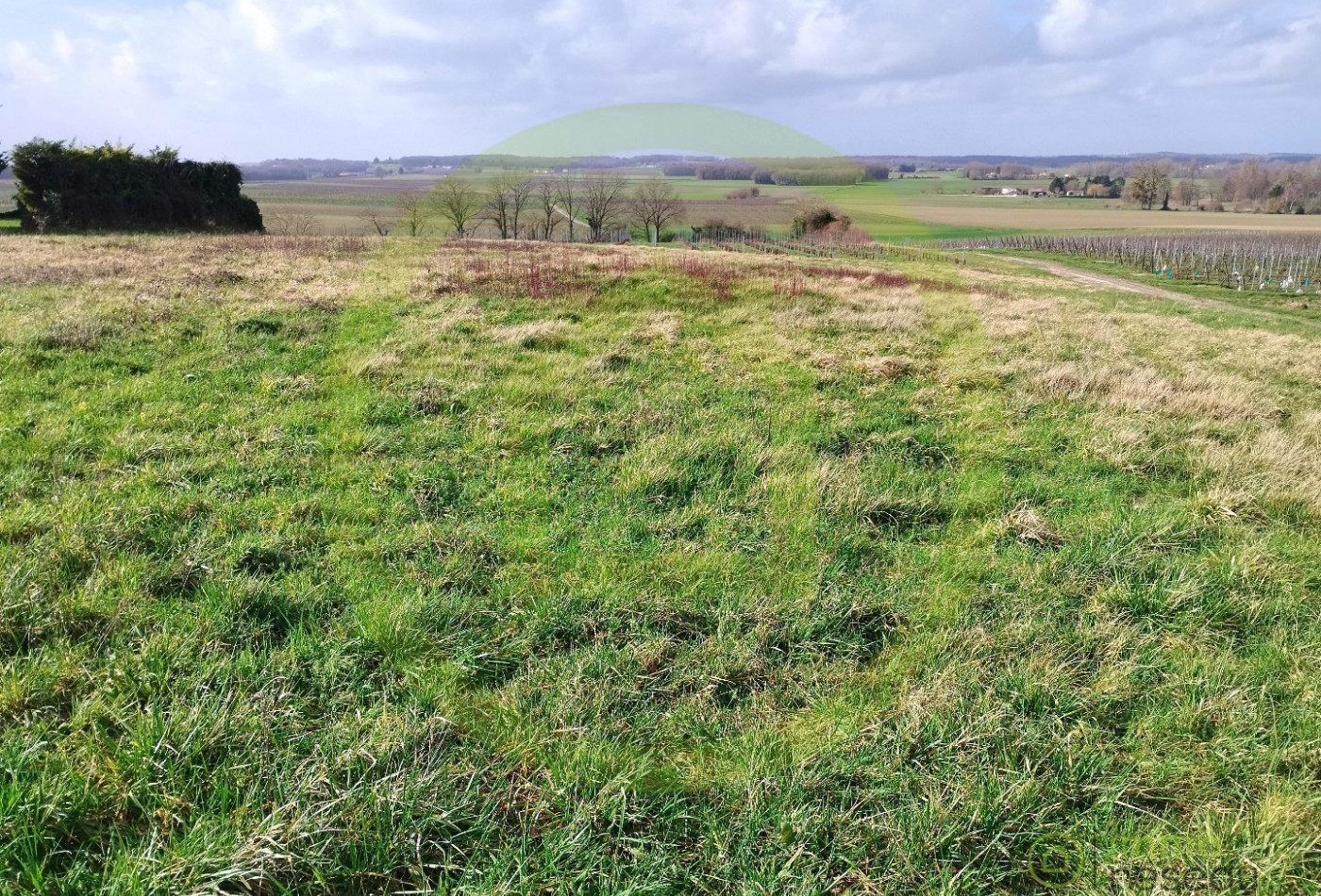 vente Terrain Saint Maigrin - Photo 1