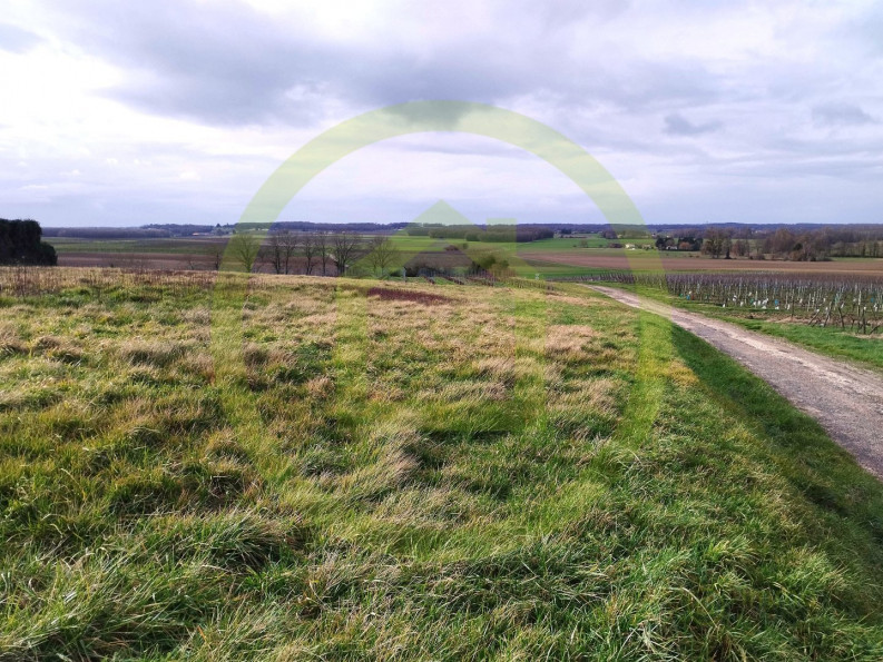 vente Terrain Saint Maigrin - Photo 3