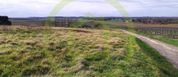 vente Terrain Saint Maigrin